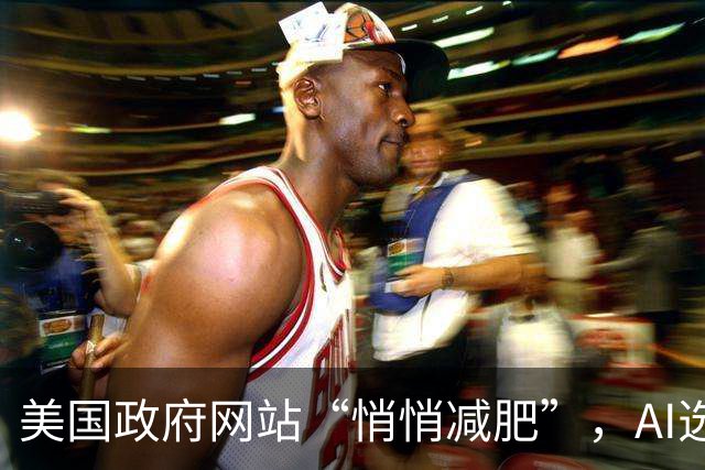 美国政府网站“悄悄减肥”，AI选项成了“隐形人